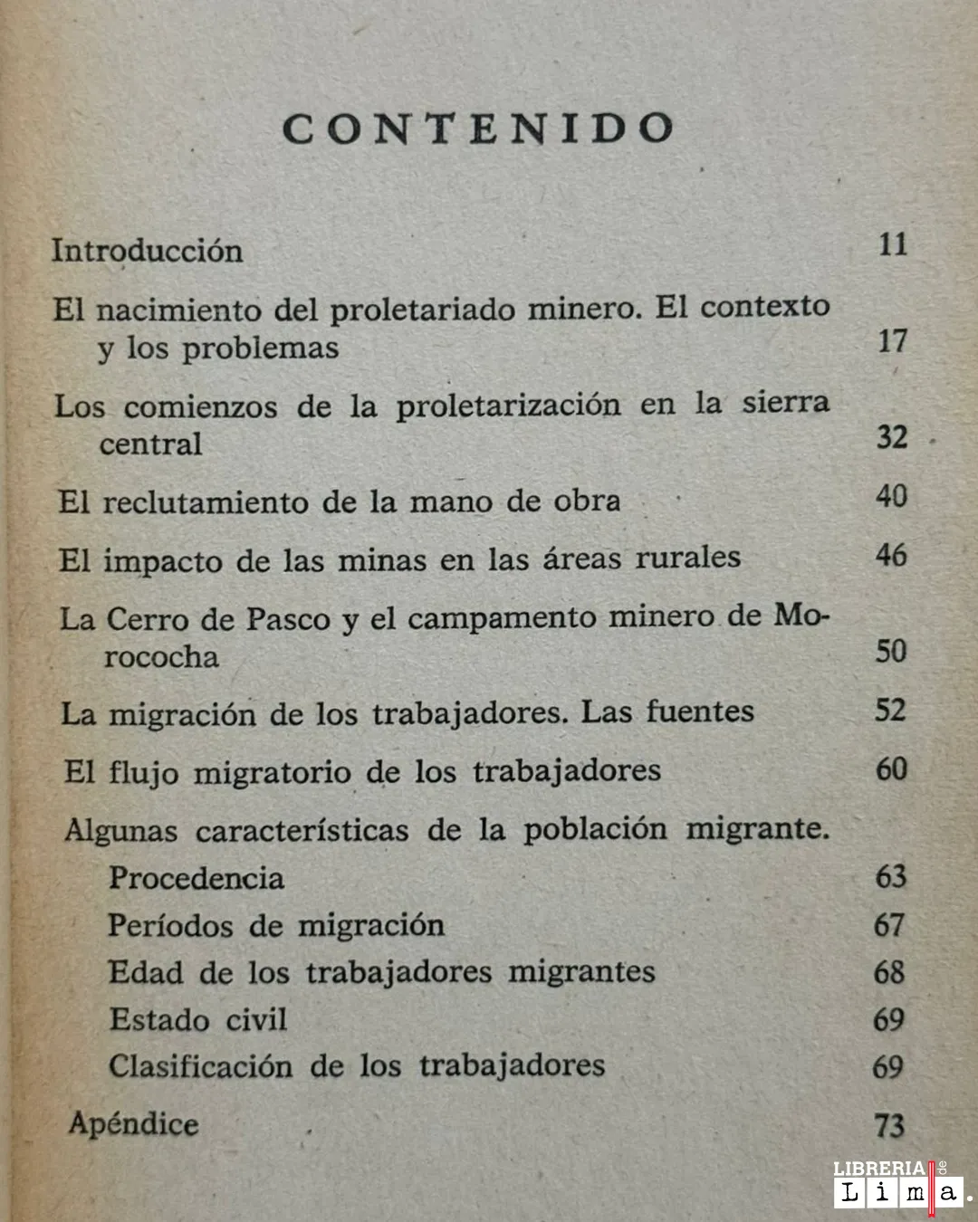 EL MINERO DE LOS ANDES - Imagen 2