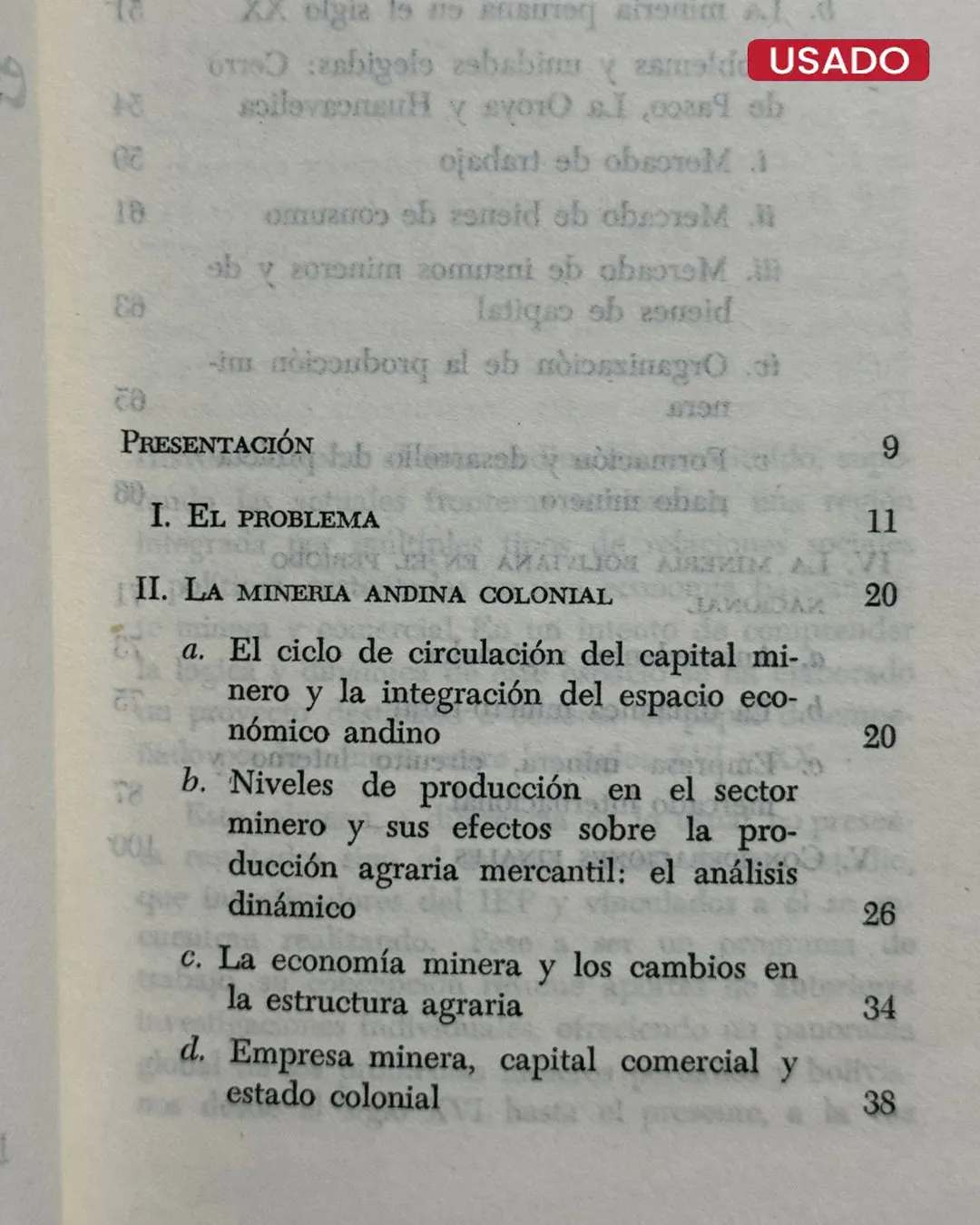 MINERIA Y ESPACIO ECONOMICO EN LOS ANDES (SIGLOS XVI – XX) - Imagen 2