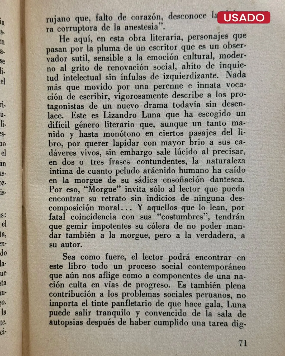 TIERRA PROCER - Imagen 3