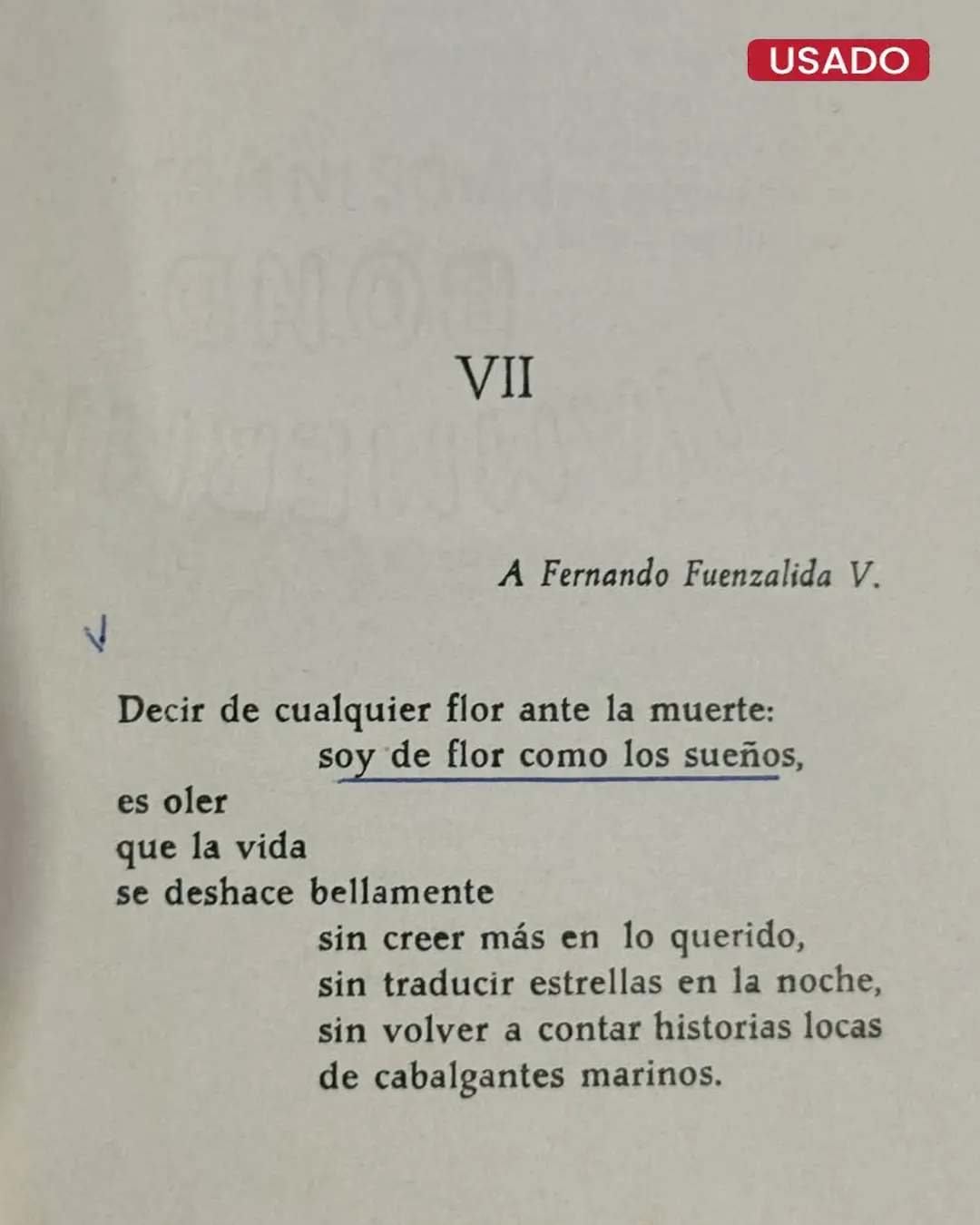 AL DIOS DESCONOCIDO - Imagen 4