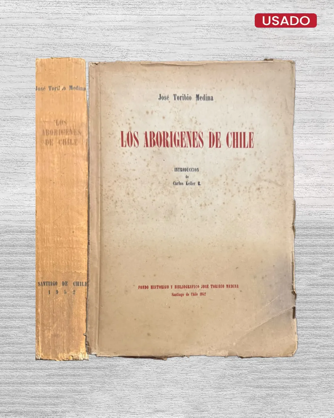 LOS ABORÍGENES DE CHILE