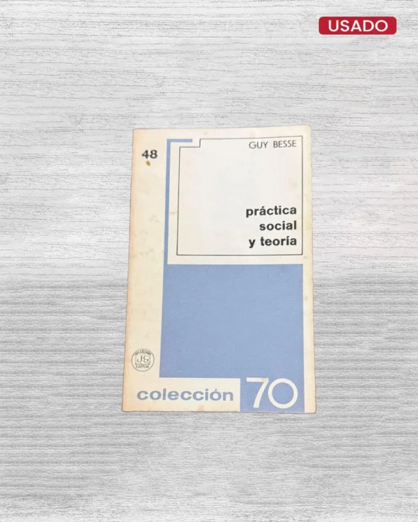 PRÁCTICA SOCIAL Y TEORÍA