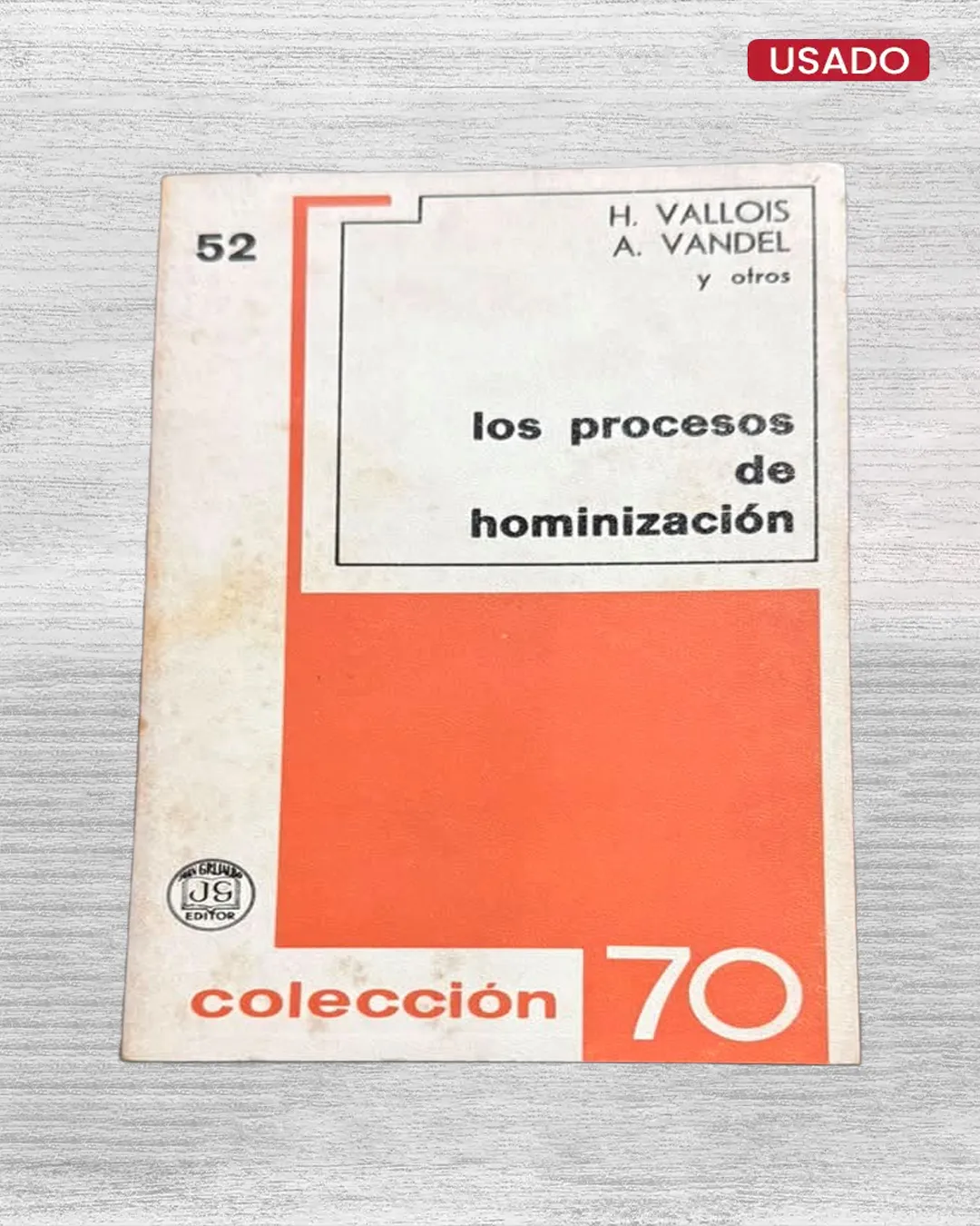 LOS PROCESOS DE HOMINIZACIÓN