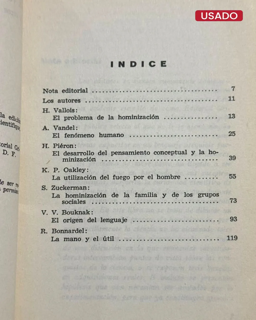 LOS PROCESOS DE HOMINIZACIÓN - Imagen 2