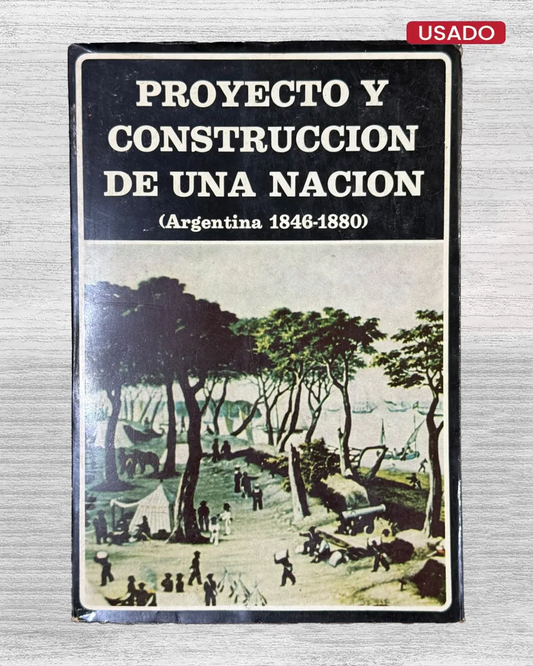 PROYECTO Y CONSTRUCCIÓN DE UNA NACIÓN (ARGENTINA 1846 – 1880)