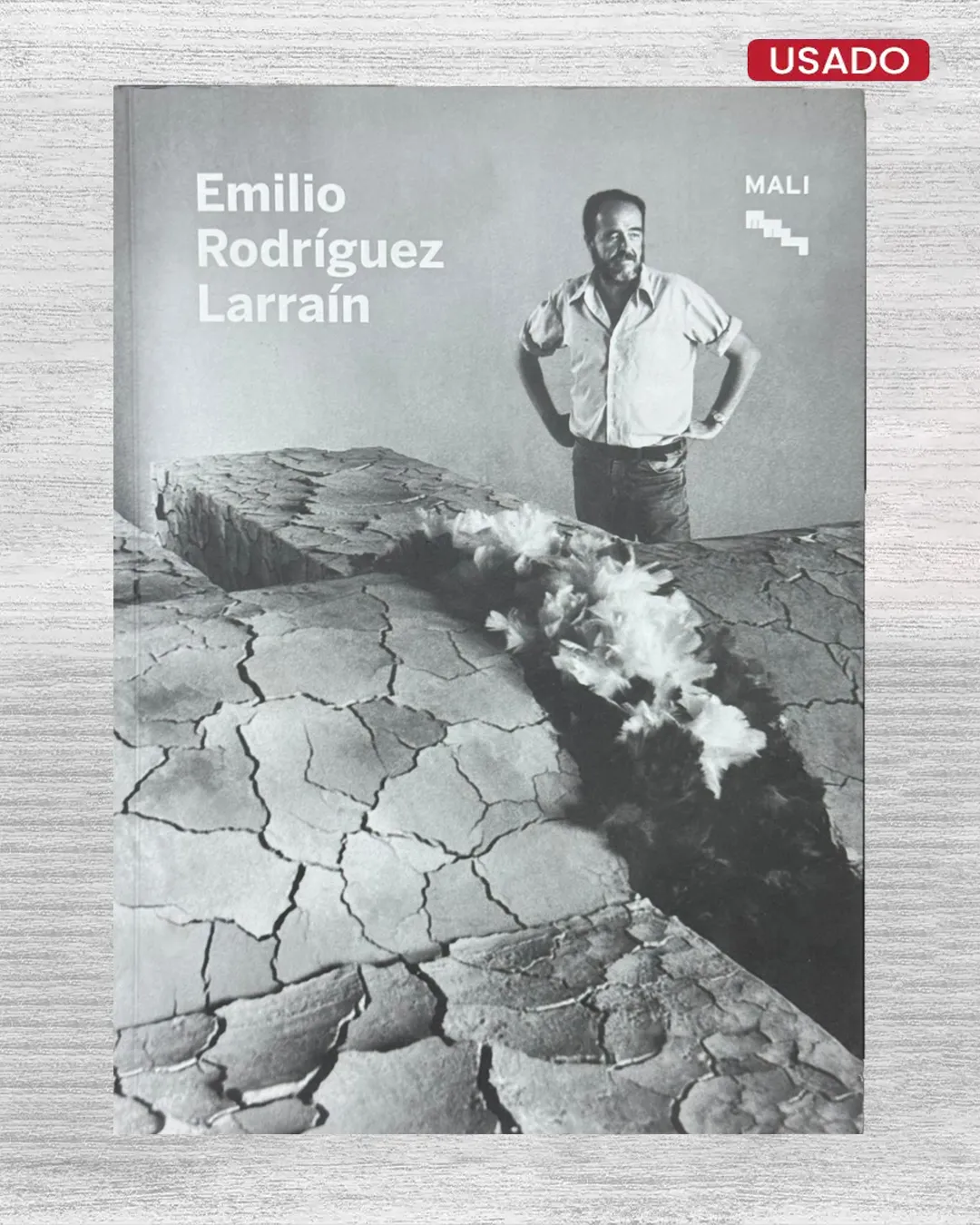 EMILIO RODRIGUEZ LARRAIN