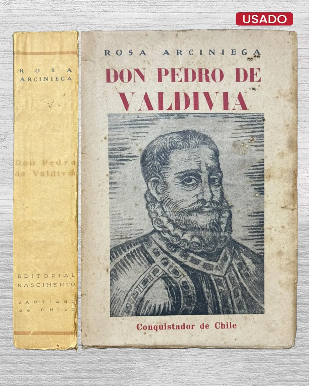 DON PEDRO DE VALDIVIA