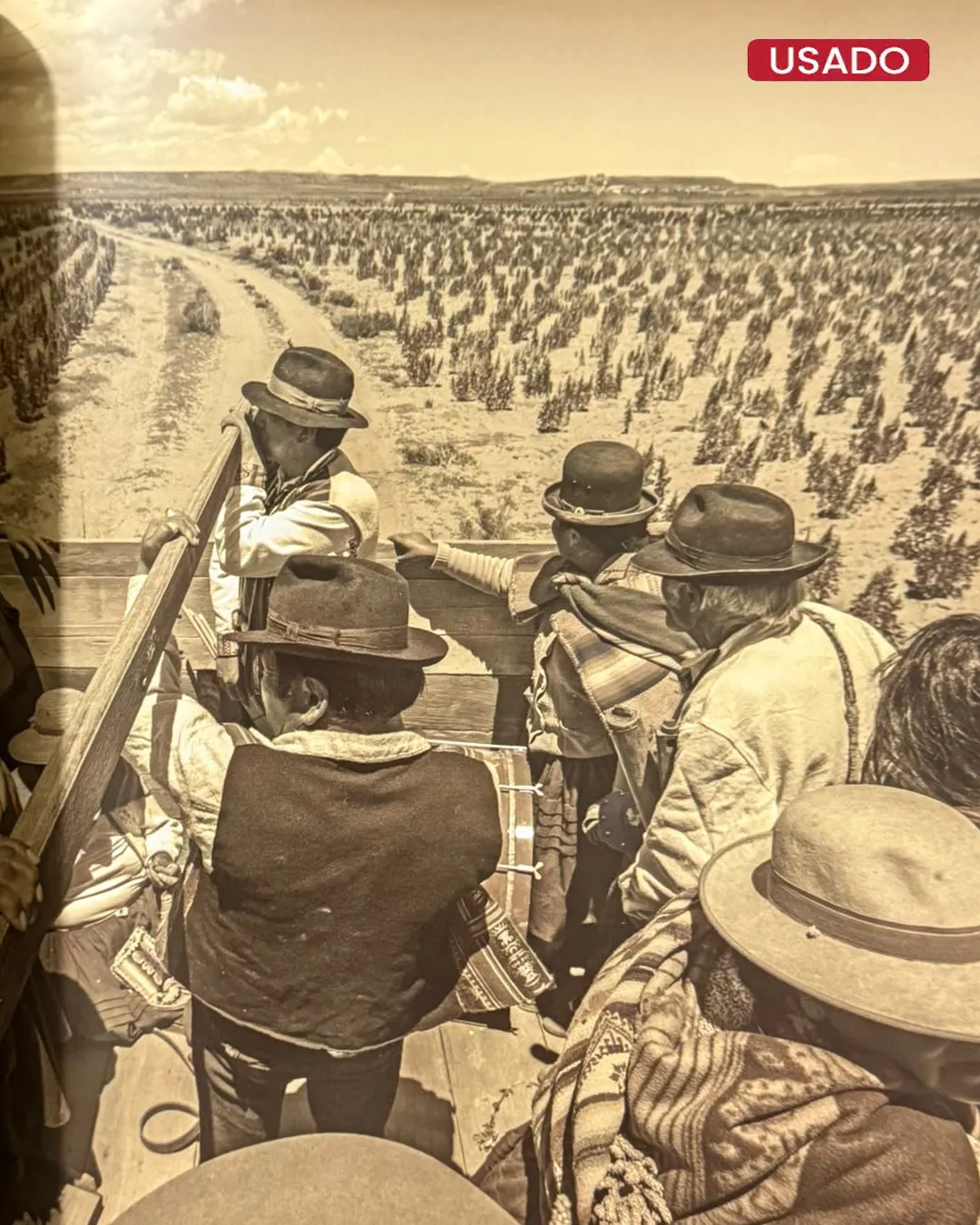 CAMÉLIDOS; CRÓNICA HISTORICA, FOTOGRAFICA Y ETNOGRAFICA - Imagen 3