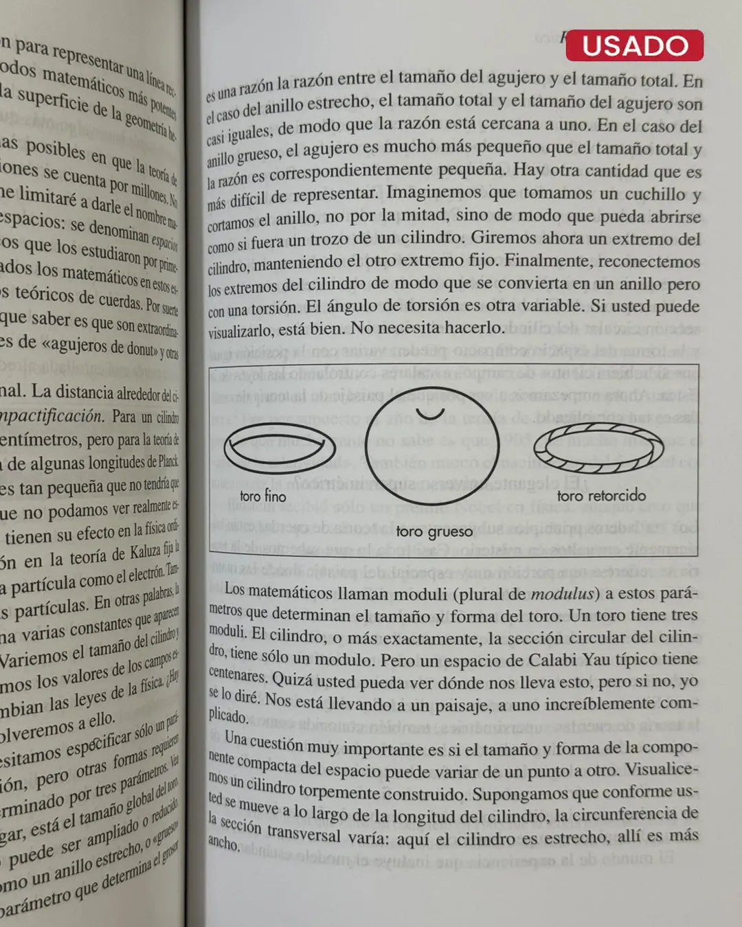 EL PAISAJE COSMICO; TEORIA DE CUERDAS Y EL MITO DEL DISEÑO INTELIGENTE - Imagen 2