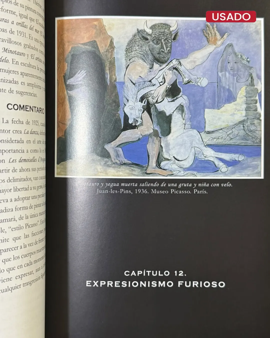 PICASSO UNICO; JUICIO A UN GENIO EN REBELDIA - Imagen 3