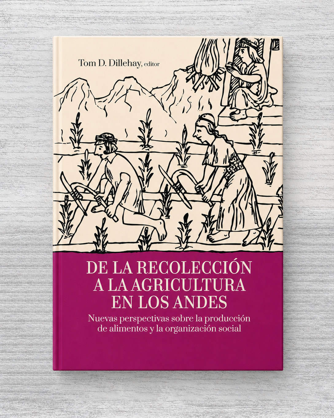 DE LA RECOLECCIÓN A LA AGRICULTURA EN LOS ANDES. NUEVAS PERSPECTIVAS SOBRE LA PRODUCCION DE ALIMENTOS Y LA ORGANIZACION SOCIAL