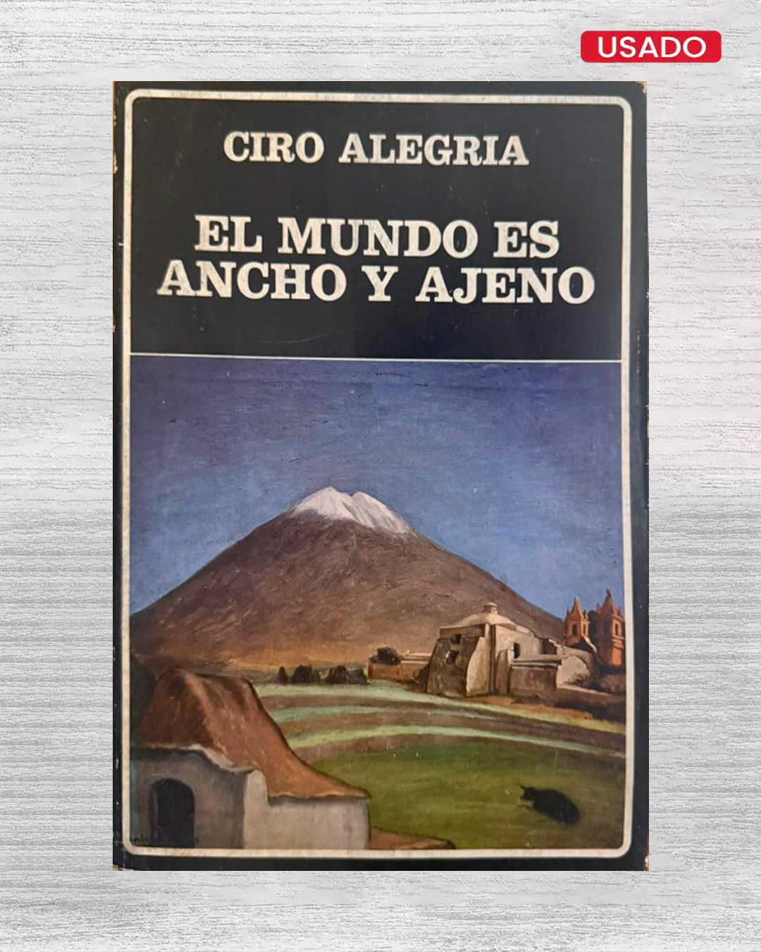 EL MUNDO ES ANCHO Y AJENO