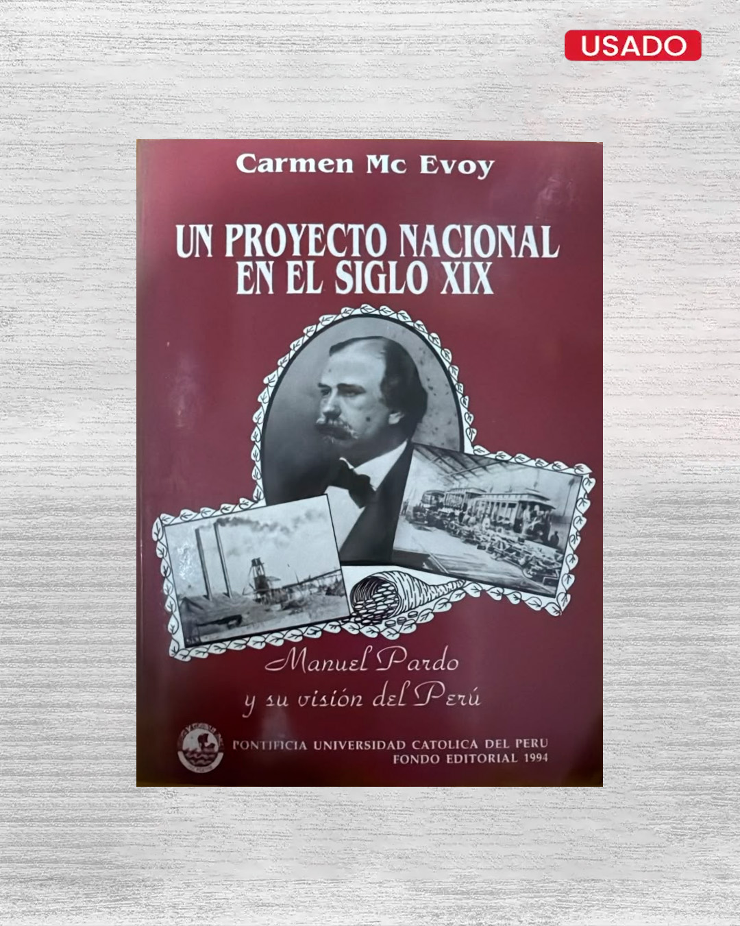 UN PROYECTO NACIONAL EN EL SIGLO XIX