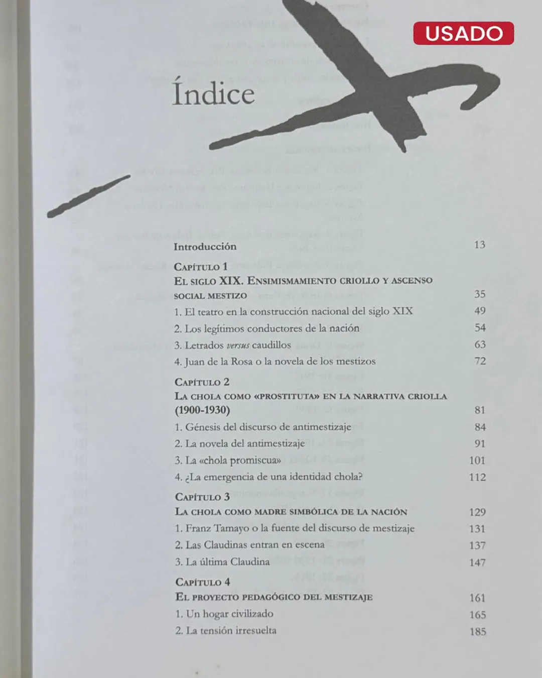LA CIUDAD DE LOS CHOLOS; MESTIZAJE Y COLONIALIDAD EN BOLIVIA, SIGLOS XIX Y XX - Imagen 3
