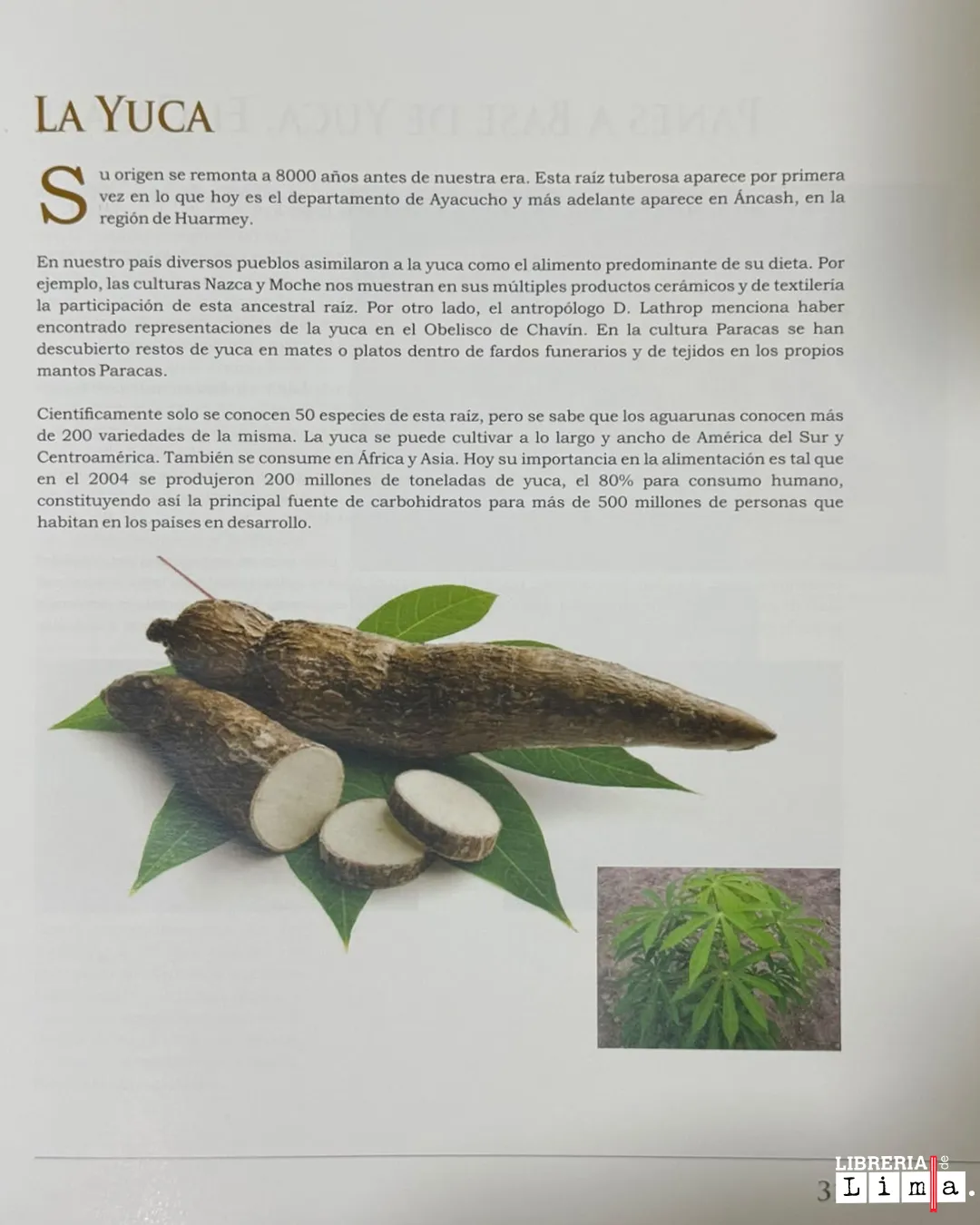 EL PERÚ Y SUS PANES; HERENCIA Y TRADICIÓN ANCESTRAL - Imagen 2