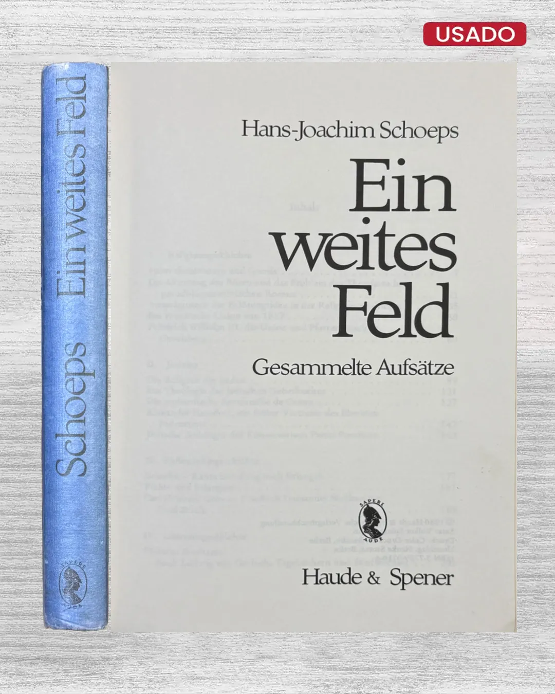 EIN WEITES FELD; GESAMMELTE AUFSÄTZE (TEXTO EN ALEMAN)
