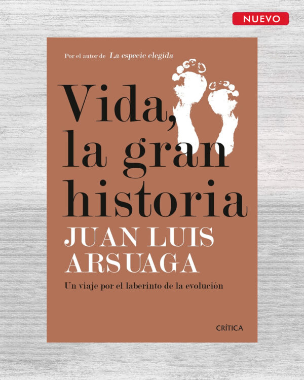 VIDA, LA GRAN HISTORIA