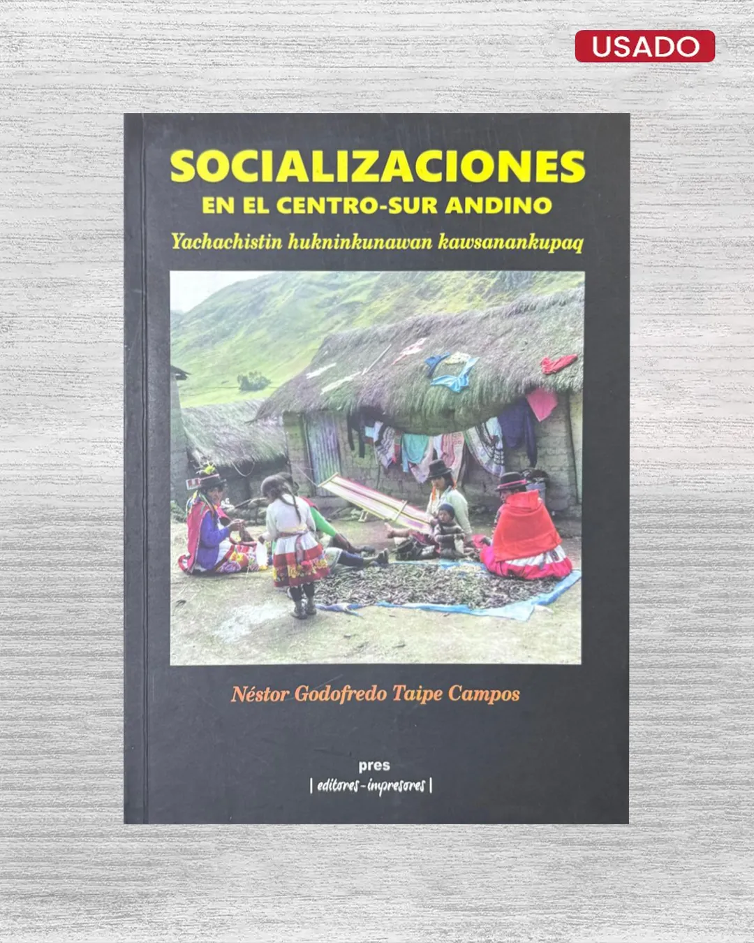SOCIALIZACIONES EN EL CENTRO-SUR ANDINO