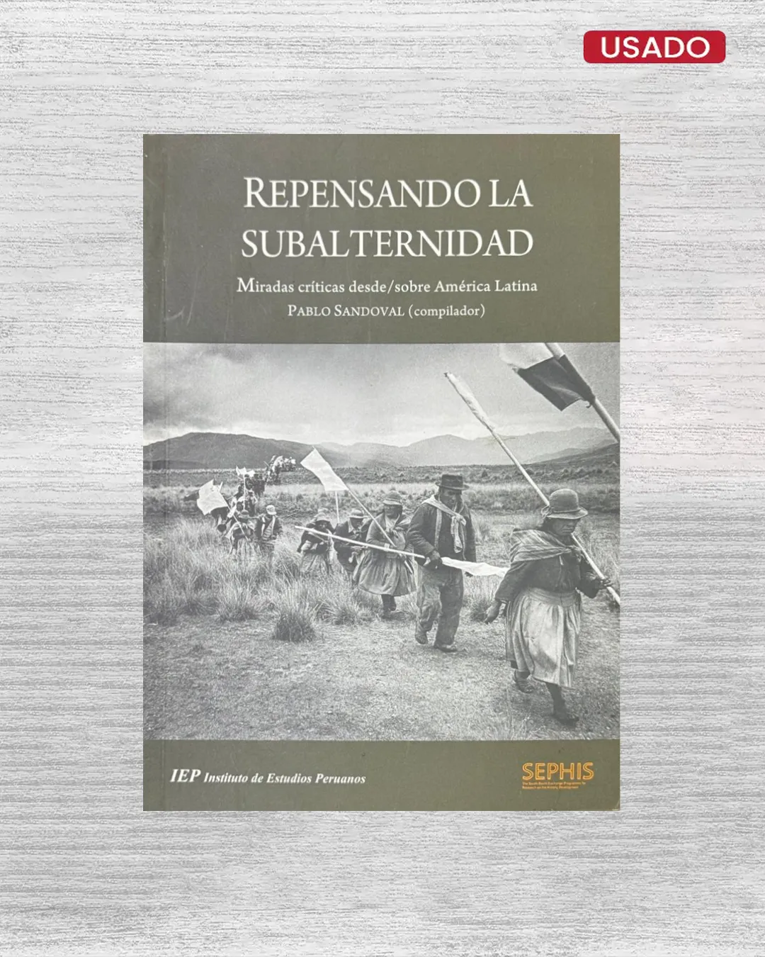 REPENSANDO LA SUBALTERNIDAD; MIRADAS CRITICAS DESDE/SOBRE AMERICA LATINA