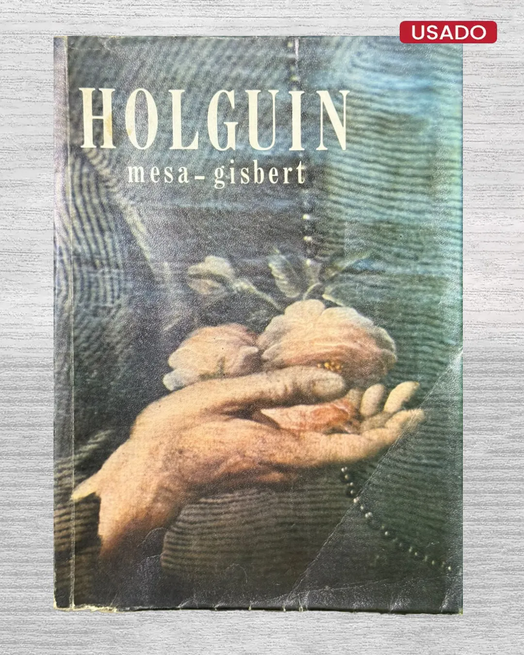 HOLGUÍN Y LA PINTURA VIRREINAL EN BOLIVIA