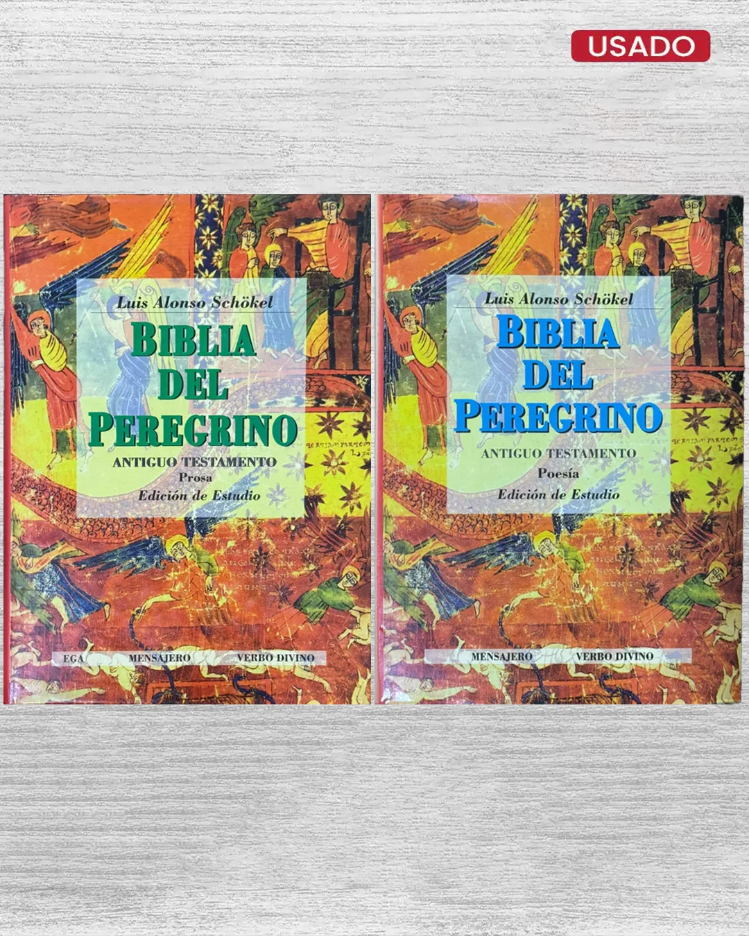 BIBLIA DEL PEREGRINO (2 TOMOS)