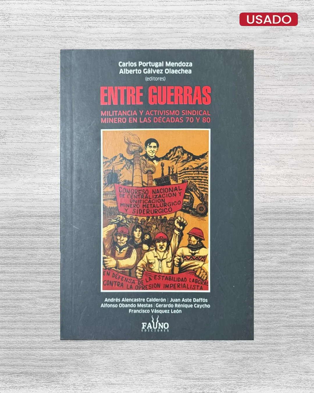 ENTRE GUERRAS; MILITANCIA Y ACTIVISMO SINDICAL MINERO EN LAS DECADAS 70 Y 80