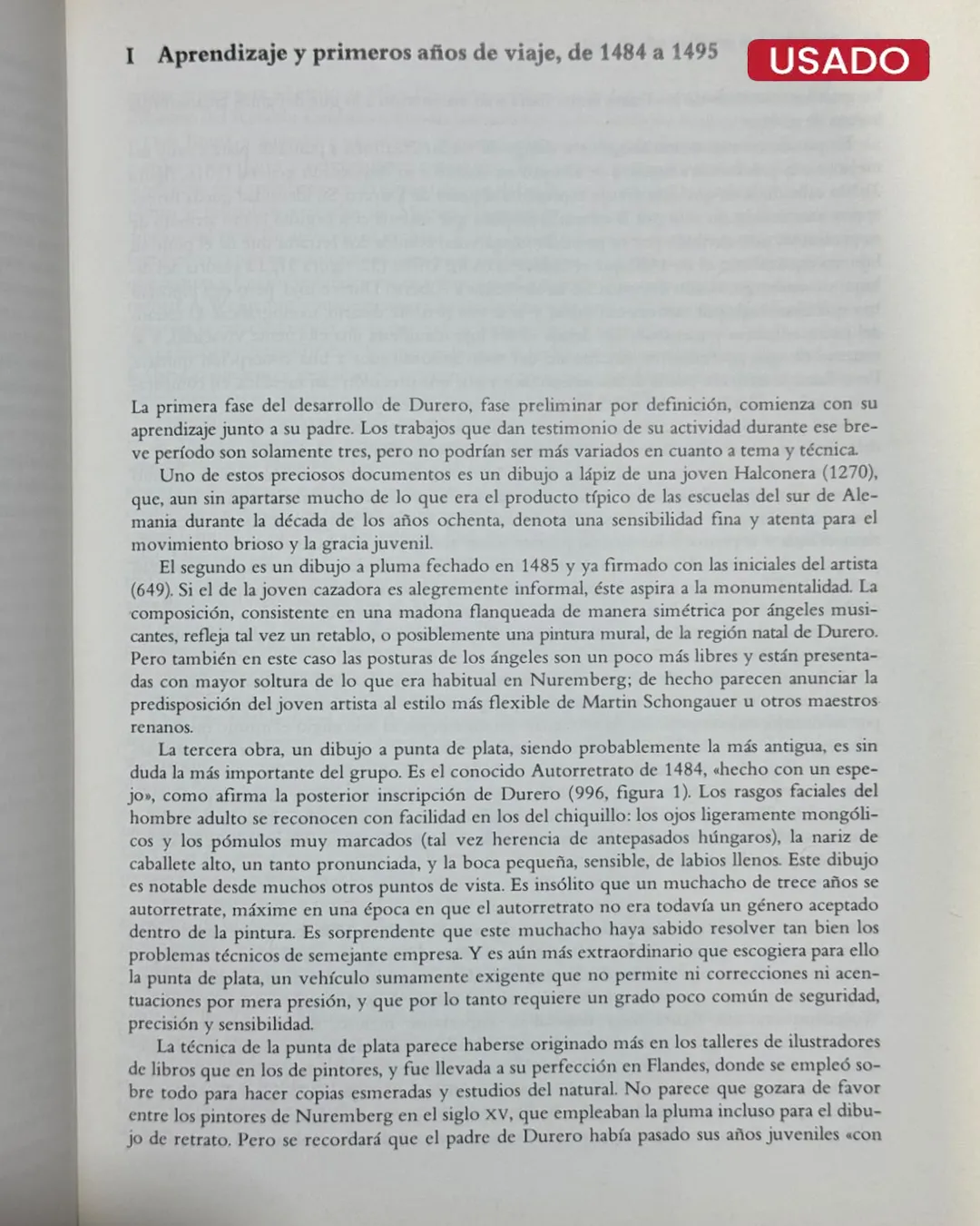 VIDA Y ARTE DE ALBERTO DURERO - Imagen 3