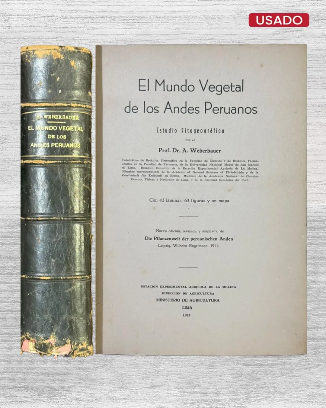 EL MUNDO VEGETAL DE LOS ANDES PERUANOS (ESTUDIO FITOGEOGRÁFICO)
