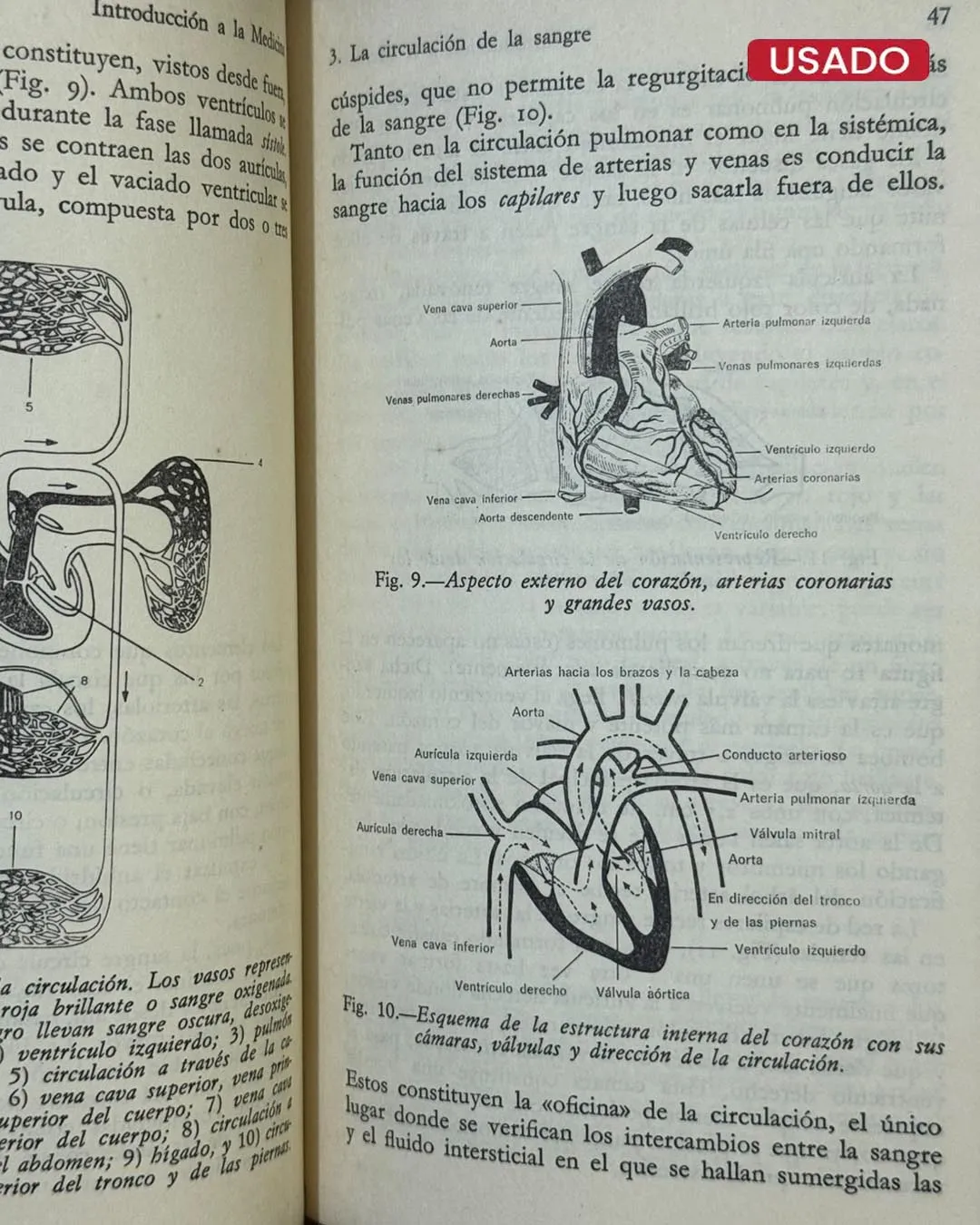INTRODUCCIÓN A LA MEDICINA - Imagen 3
