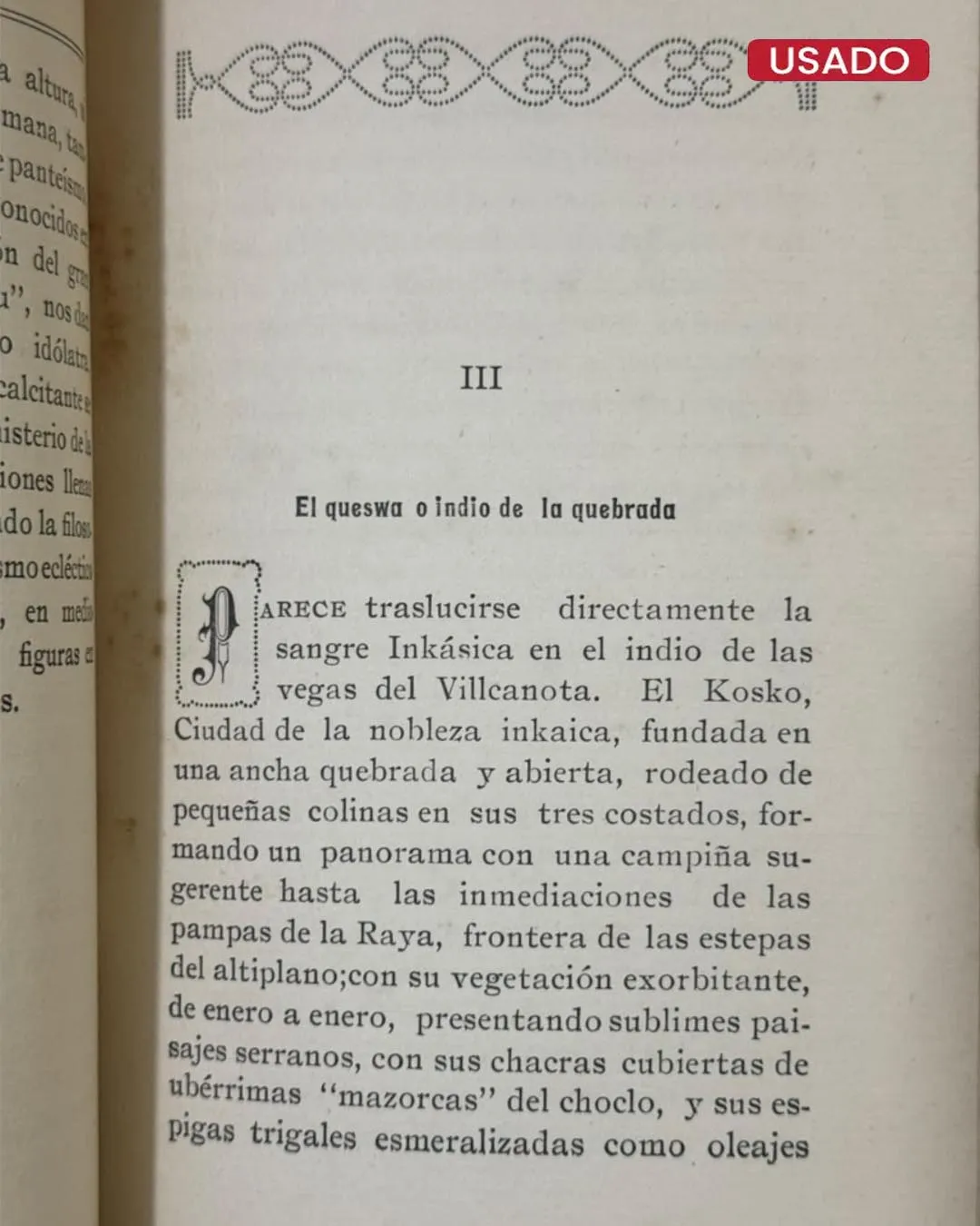 TAMBIÉN EL INDIO RUGE - Imagen 2