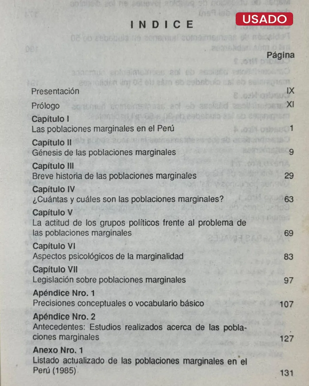 LOS POBLACIONES MARGINALES EN EL PERU - Imagen 3