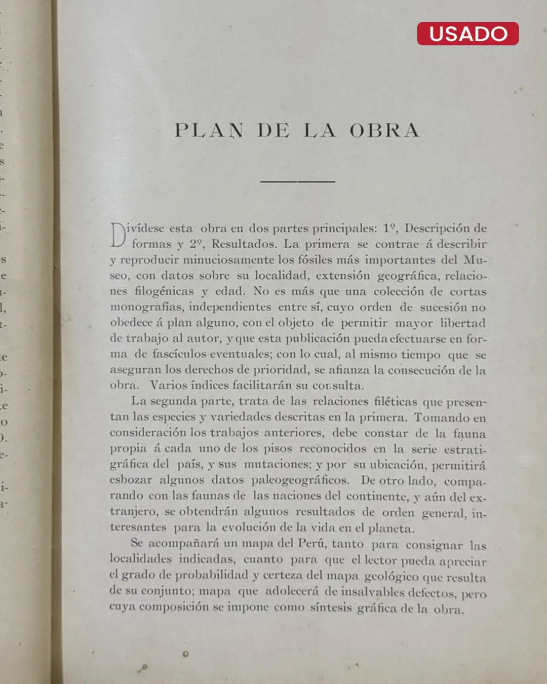 ANTONIO RAIMONDI: EL PERU (TOMO VI: PALEONTOLOGIA PERUANA – FOSILES DEL MUSEO RAIMONDI) - Imagen 3
