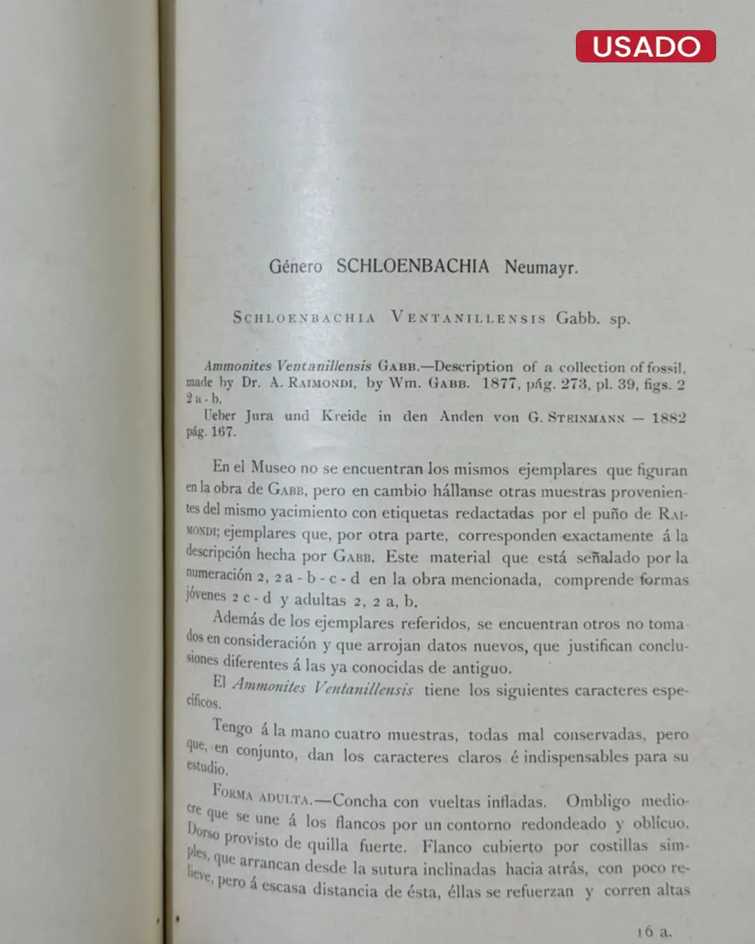 ANTONIO RAIMONDI: EL PERU (TOMO VI: PALEONTOLOGIA PERUANA – FOSILES DEL MUSEO RAIMONDI) - Imagen 5