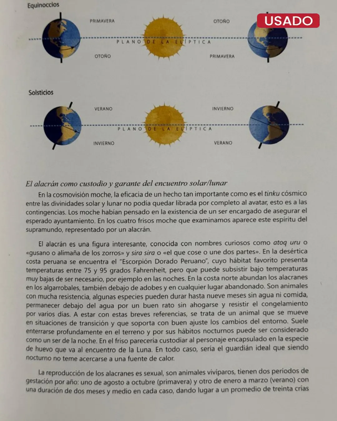 COSMOS – MOCHE - Imagen 3