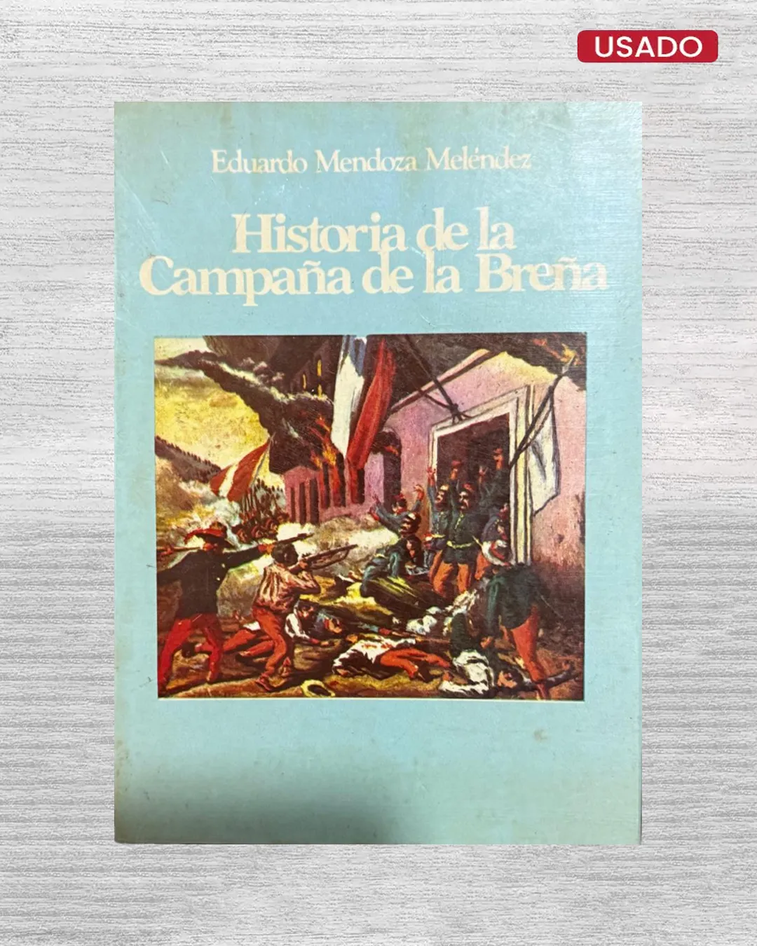 HISTORIA DE LA CAMPAÑA DE LA BREÑA