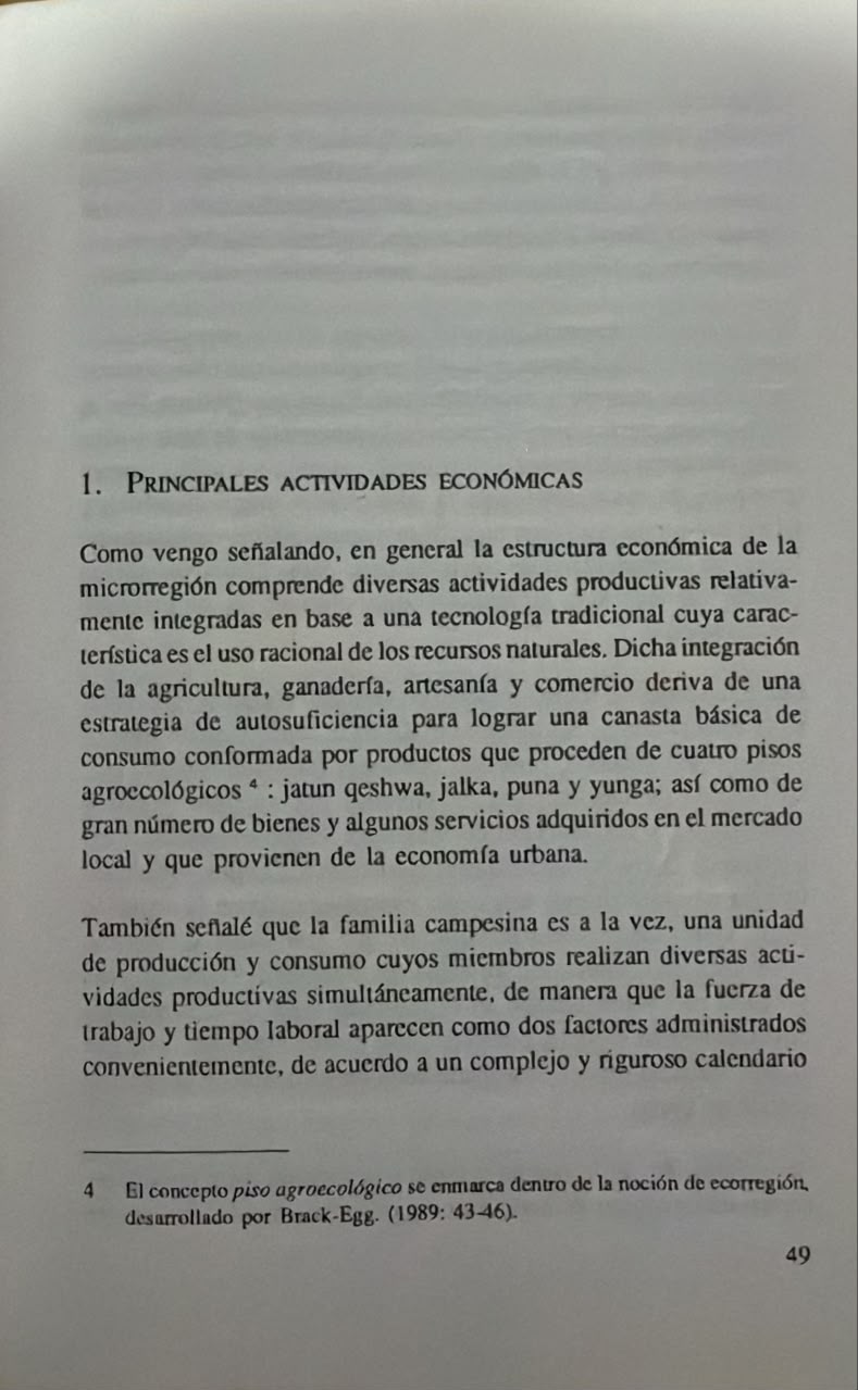 RACIONALIDAD ANDINA EN EL USO DEL ESPACIO - Imagen 3