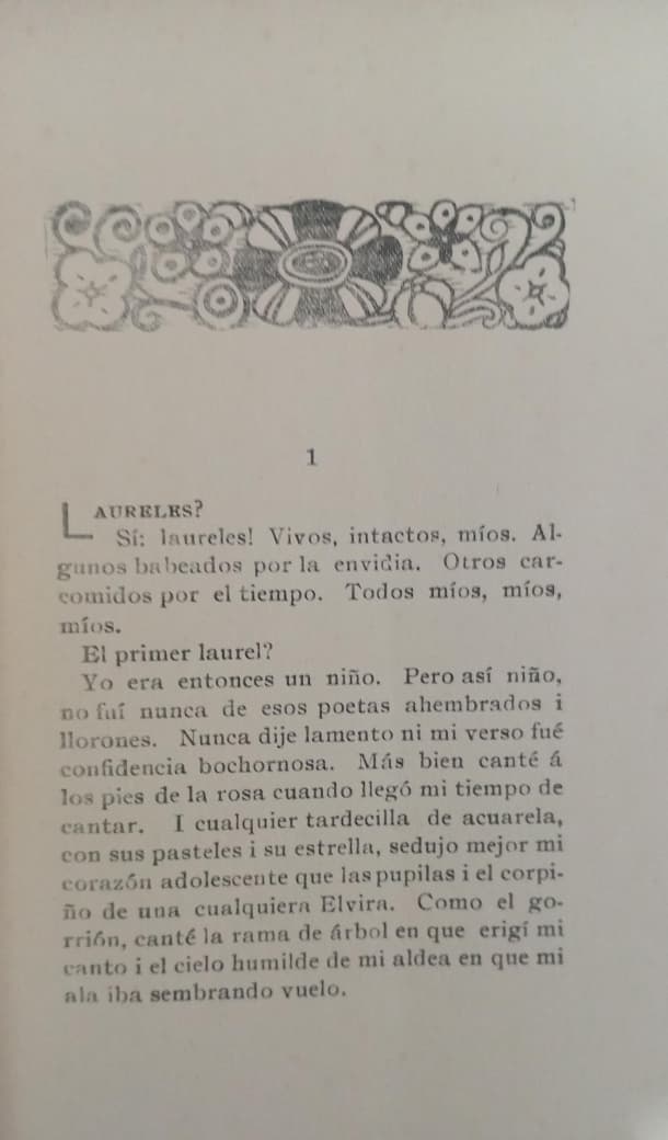 LAURELES - Imagen 2