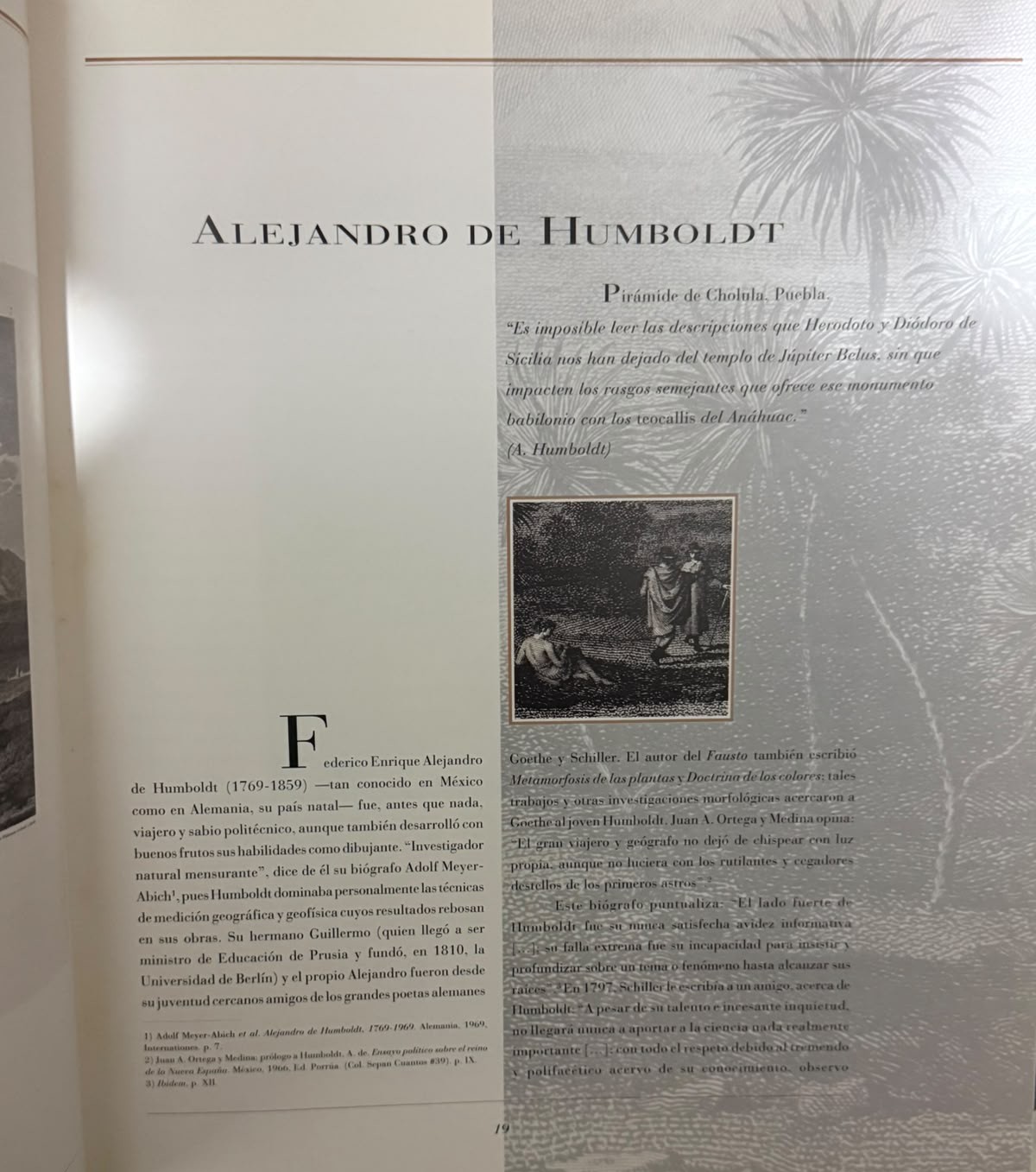 FRAGMENTO 1