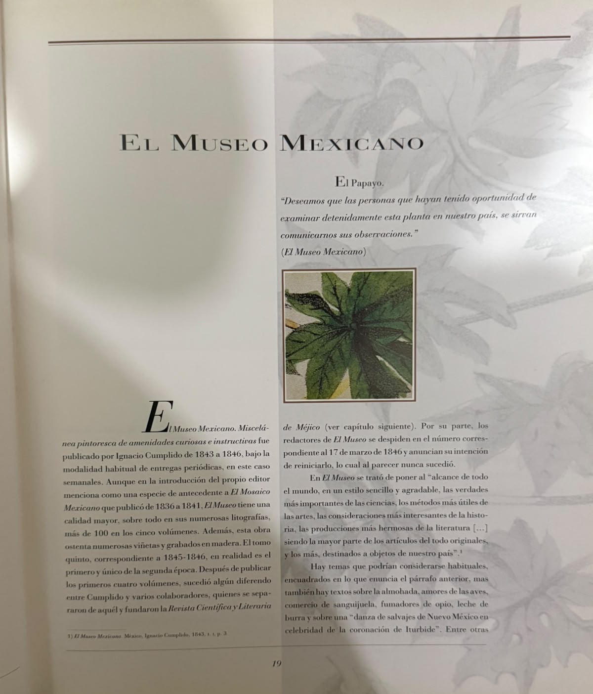 FRAGMENTO 2