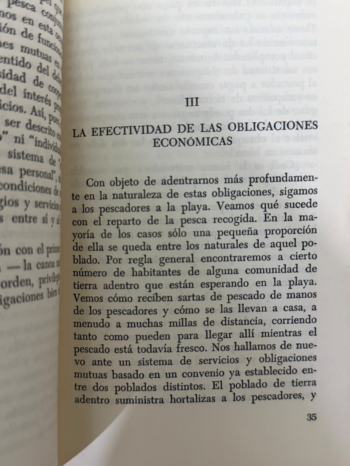 FRAGMENTO 2