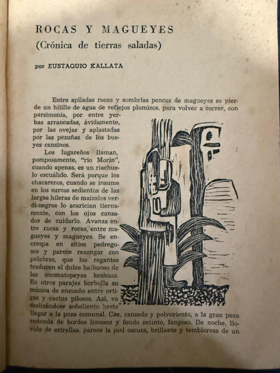 SURCO UNIVERSITARIO - fragmento