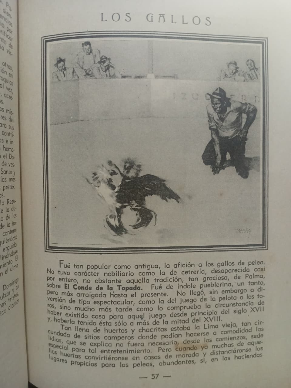 FRAGMENTO 3