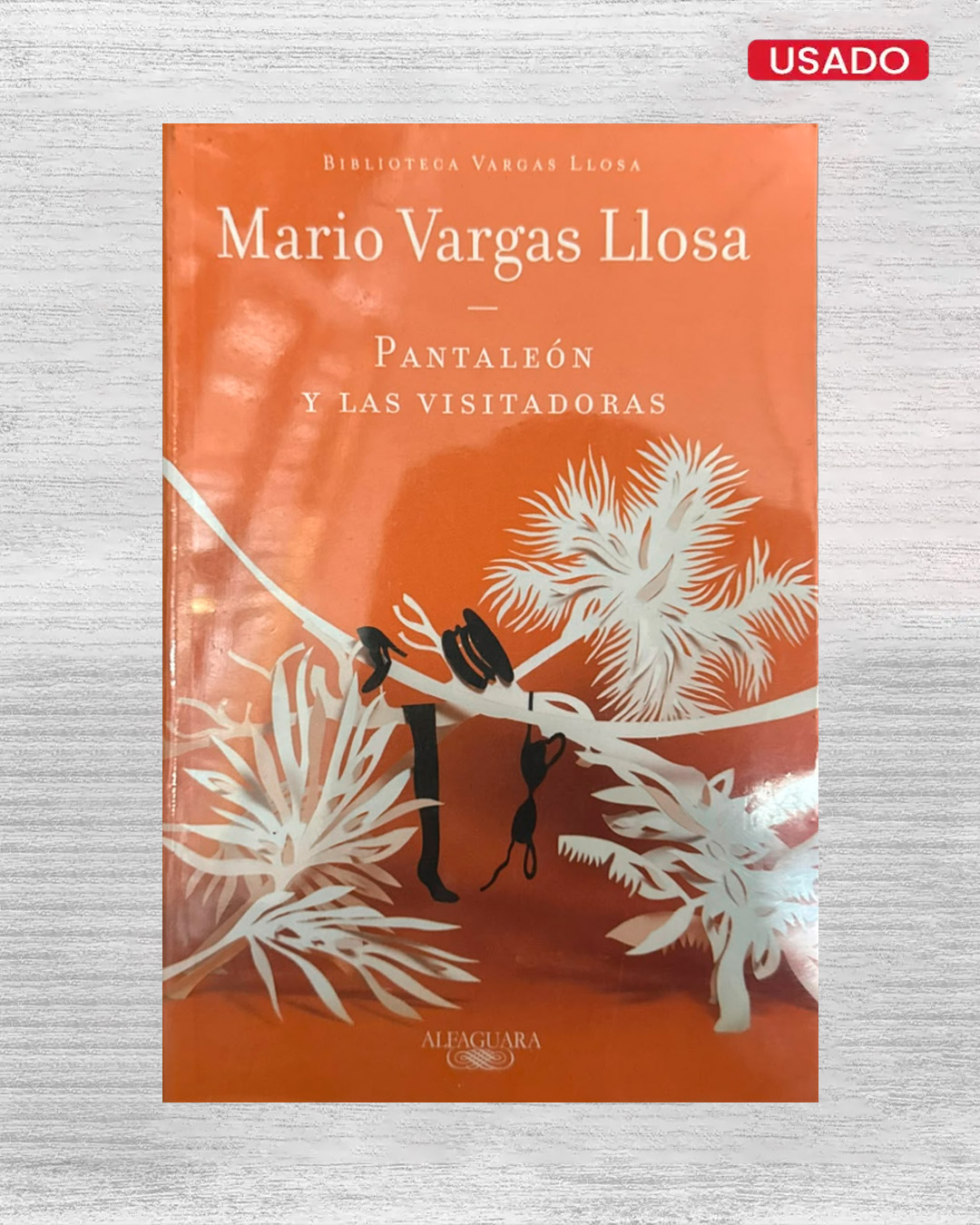 PANTALEÓN Y LAS VISITADORAS