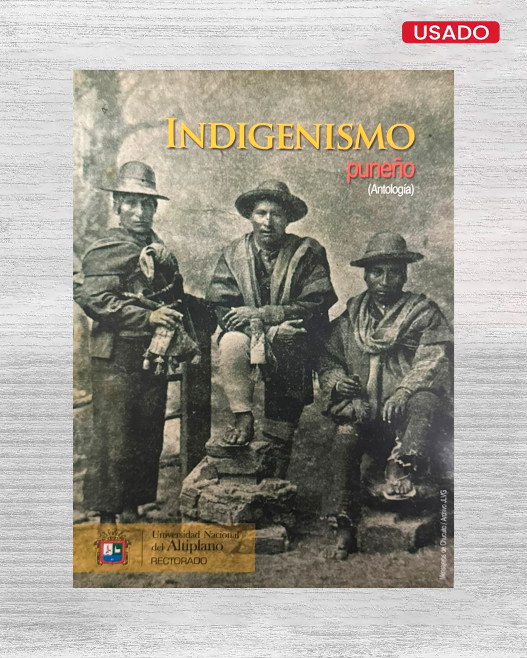 INDIGENISMO PUNEÑO