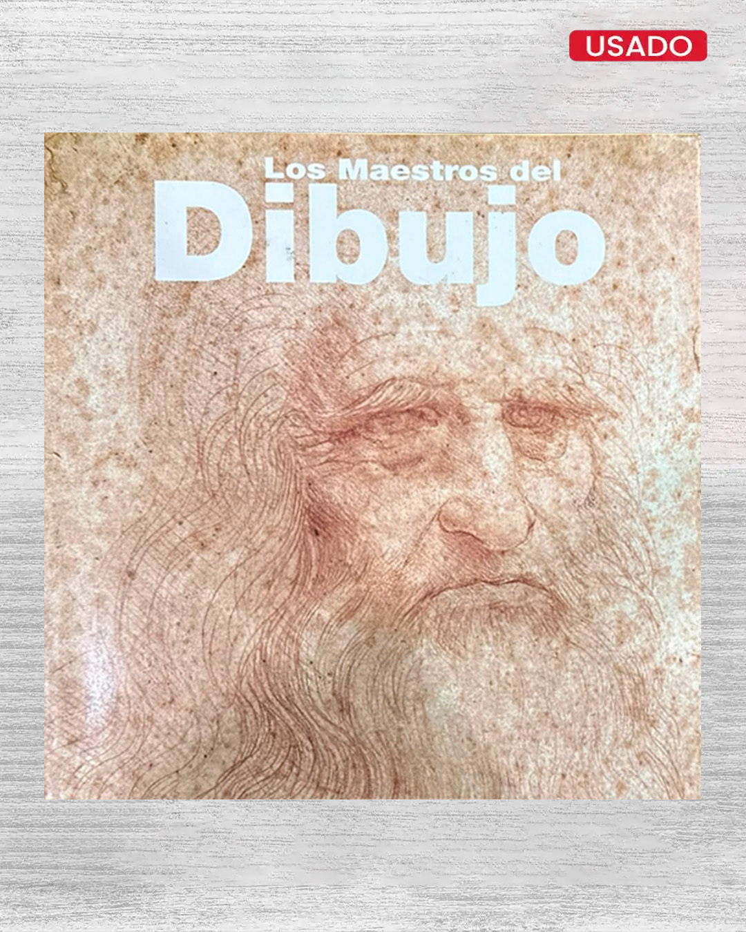 LOS MAESTRSO DEL DIBUJO