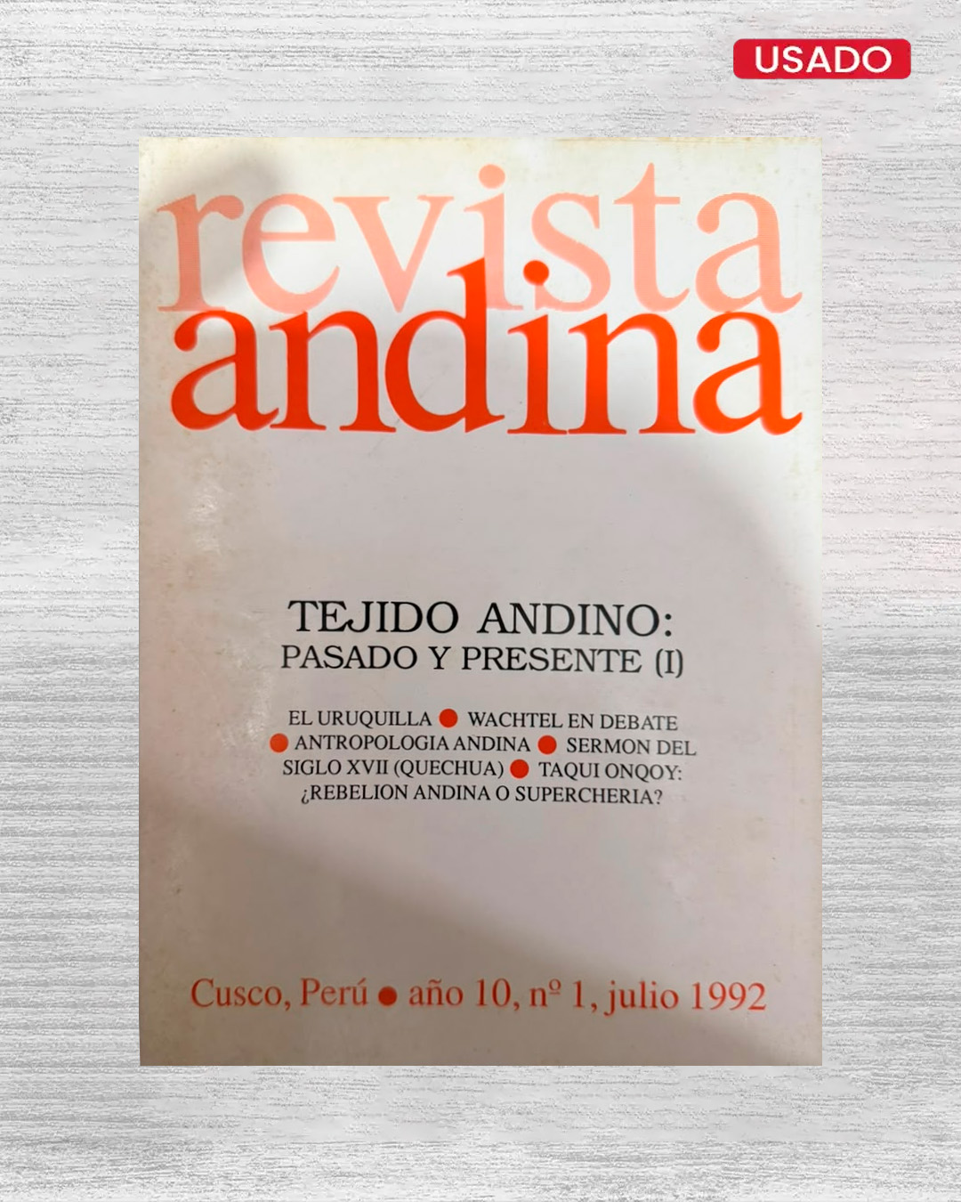 REVISTA ANDINA - AÑO 10 Nº1 - PORTADA