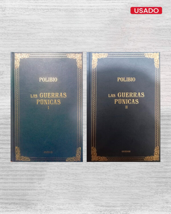 LAS GUERRAS PÚNICAS