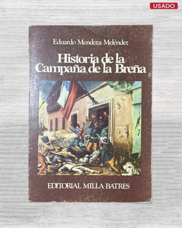 HISTORIA DE LA CAMPAÑA DE LA BREÑA