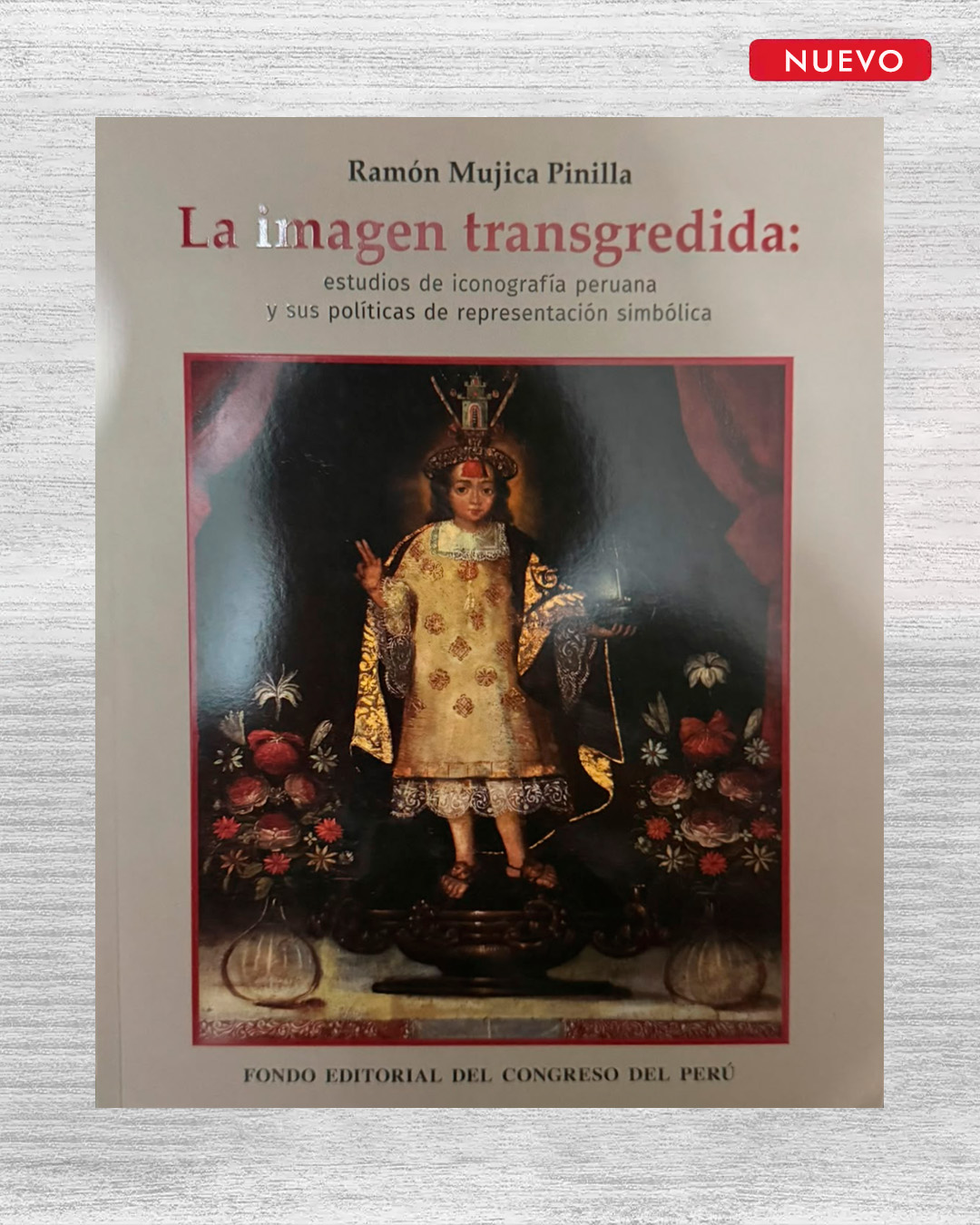 LA IMAGEN TRANSGREDIDA