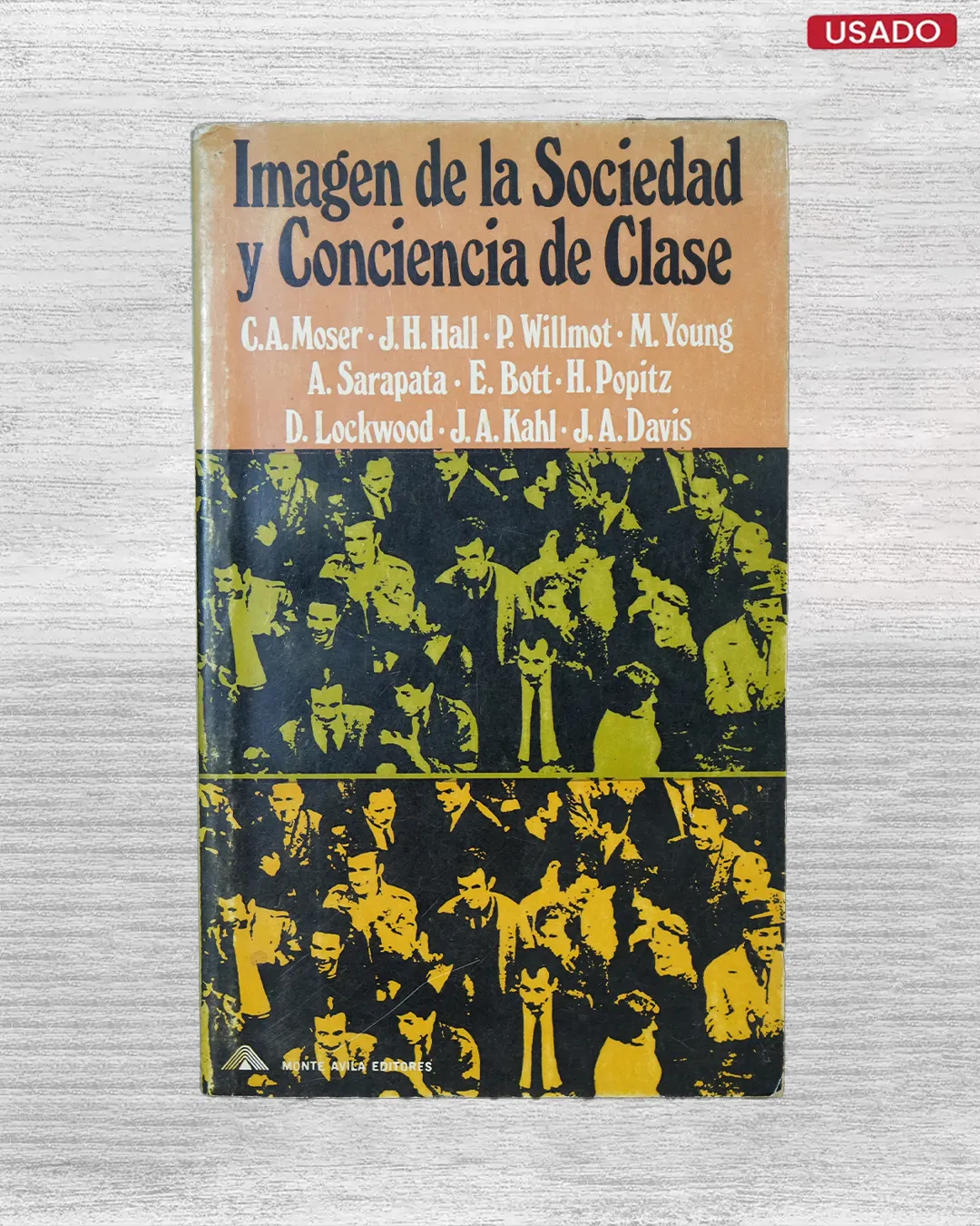 IMAGEN DE LA SOCIEDAD Y CONCIENCIA DE CLASE